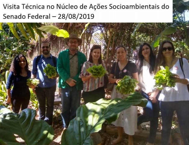 Visita Técnica Senado